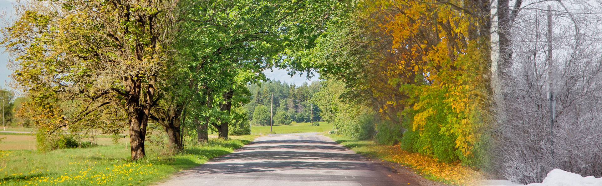 Aktuelles header
